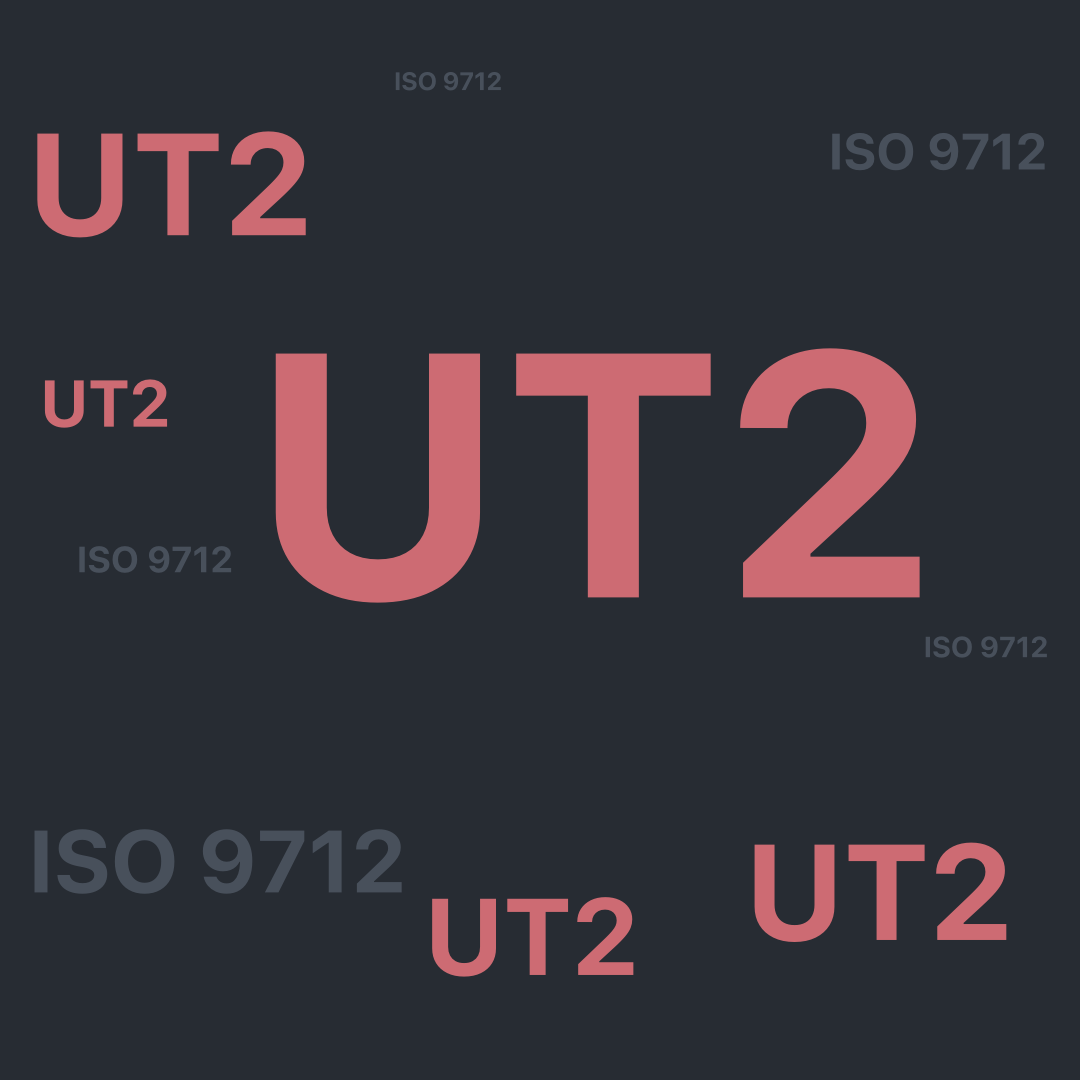 Ultraschallprüfung Stufe 2